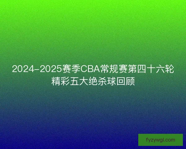2024-2025赛季CBA常规赛第四十六轮精彩五大绝杀球回顾