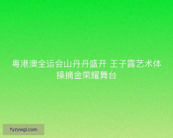 粤港澳全运会山丹丹盛开 王子露艺术体操摘金荣耀舞台