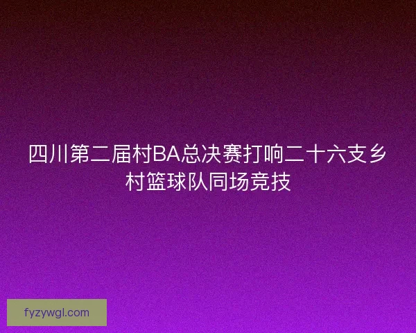 四川第二届村BA总决赛打响二十六支乡村篮球队同场竞技